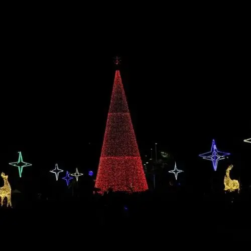LA MAGIA DE LA NAVIDAD ILUMINÓ PARQUE SAMANES EN GUAYAQUIL