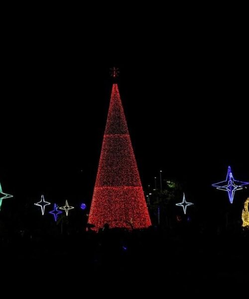 LA MAGIA DE LA NAVIDAD ILUMINÓ PARQUE SAMANES EN GUAYAQUIL