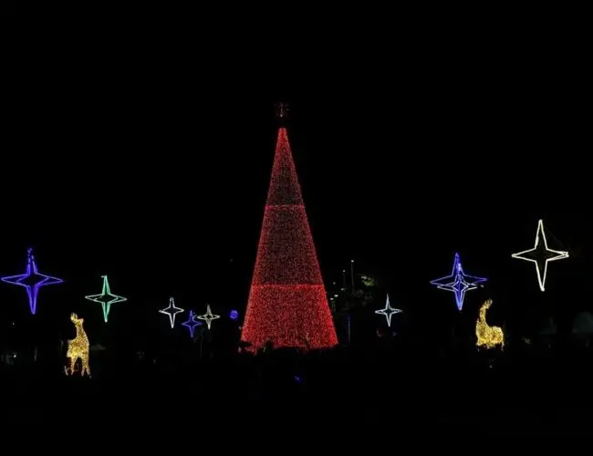 LA MAGIA DE LA NAVIDAD ILUMINÓ PARQUE SAMANES EN GUAYAQUIL