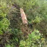 “SE HA COMPROBADO QUE AL BOMBA EN TERRITORIO COLOMBIANO ES DEL EJÉRCITO ECUATORIANO”, PDTE. GUSTAVO PETRO